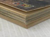 大和路の石仏 (カラーブックス 122) 保育社 入江 泰吉※イタミ有