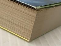 冒険の川　（新学社文庫 55） 新学社 イーニッド・ブライトン、村野 杏 (訳) ※イタミ有