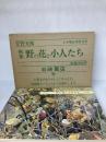【イタミ有り】野の花と小人たち―画集 (安野光雅の本 1) 岩崎書店 安野 光雅