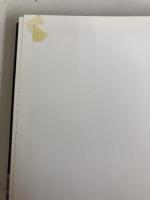 ヴィエノワズリー・パート・ティーケーキ&パン そしてタルトフェスティバル