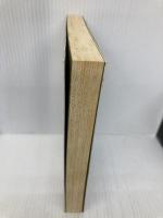 レイヴ力―rave of life (単行本) 筑摩書房 鶴見 済