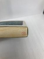 レイヴ力―rave of life (単行本) 筑摩書房 鶴見 済