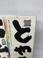 【イタミ有り】とやまの石仏たち 桂書房 尾田 武雄