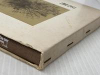 足利 (1977年)※イタミ有