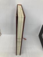 【※カバー無し】謎のサルタヒコ 創元社 鎌田 東二