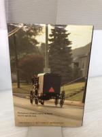 【イタミ有り】ステラおばさんのアメリカンカントリーのお菓子 主婦の友社 ジョセフ・リー ダンクル