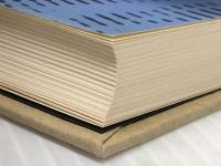 光る壁画 新潮社 吉村昭※カバー無し