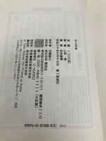 三人の夜 講談社 仁科 透