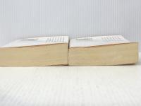 天の川の太陽〈上・下〉(中公文庫) 中央公論社 黒岩 重吾※イタミ有