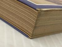 詩のこころを読む (岩波ジュニア新書 9) 岩波書店 茨木 のり子※イタミ有