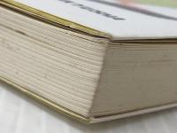 入門オージー・イングリッシュ: オーストラリア英語の口語表現 研究社 森本 勉※イタミ有