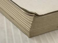 ネコ川柳 (タツミムック) 辰巳出版 石井 理恵子※カバー無し※イタミ有