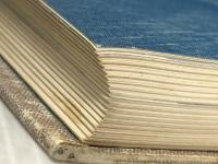 サツキ百科　見方、ふやし方、手入れ、盆栽 西東社 石橋丈夫※カバー無し※イタミ有