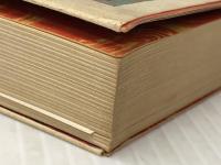 陰学探険 創樹社 小沢昭一※イタミ有