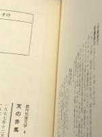 天の赤馬 (1977年) (創作児童文学)