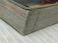 恐竜最強王図鑑: No.1決定ト-ナメント!! Gakken 松原由幸※カバー無し