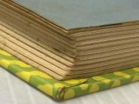 いたずら小おに Gakken ユリア・ドゥシニスカ※イタミ有※カバー無し