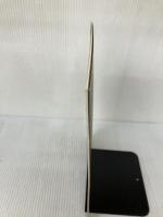 バンピー341 Swallowtail Butterfly ～あいのうた～ (バンドスコア)  音楽書院