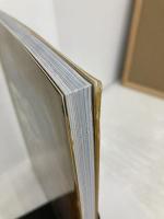 【イタミ有り】夢はCOCOから