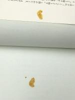 将棋に勝つ考え方: 異次元の大局観 (谷川浩司の将棋新研究 1) 池田書店 谷川 浩司※イタミ有