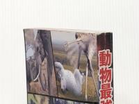 動物最強王図鑑 学研プラス 実吉達郎※カバー無し※イタミ有