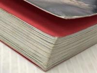 動物最強王図鑑 学研プラス 実吉達郎※カバー無し※イタミ有