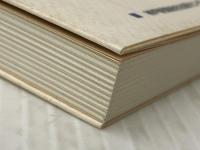 宝塚映画製作所 よみがえる“映画のまち”宝塚 (のじぎく文庫) 神戸新聞出版センター 宝塚映画祭実行委員会※イタミ有