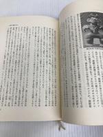シルクロードの怪神怪獣 (1982年) (シルクロード史考察 正倉院からの発見〈19〉) 六興出版 森 豊