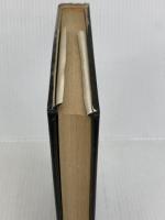 世にも不思議な丸正事件 (1985年)