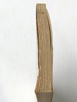 孤独の世界 (中公新書 233) 中央公論新社 島崎 敏樹※イタミ有