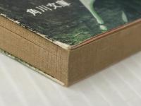 美女の青い影 (角川文庫 緑 383-11) KADOKAWA 平井 和正※イタミ有