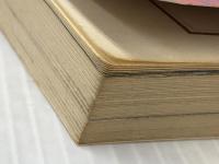 大阪・神戸 改訂9版: 六甲・堺・河内・箕面・丹波 (交通公社の新日本ガイド 17) JTBパブリッシング ※イタミ有