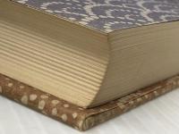 自選作家の旅 (1977年) 山と渓谷社 開高 健※イタミ有