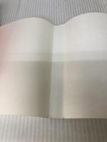 【イタミ有り】チャンピオン・ライダー (角川文庫 緑 669-3) KADOKAWA 泉 優二