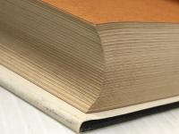 戦争の犬たち (海外ベストセラー・シリーズ) KADOKAWA フレデリック フォーサイス※イタミ有