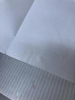 【イタミ有り】正欲 (新潮文庫 あ 78-3) 新潮社 朝井 リョウ