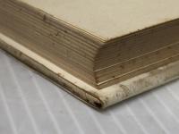 子どもの文化人類学 晶文社 原 ひろ子※イタミ有