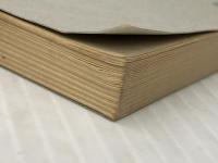 石原吉郎詩集 (現代詩文庫 第 1期26) 思潮社 石原 吉郎※イタミ有 ※カバー無し