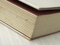 小食のすすめ: 健康の本質 創元社 明石 陽一※イタミ有