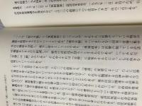 【書き込み有り】議員立法 三省堂 五十嵐 敬喜