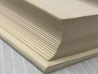 ザ・ジャパニーズ・カンパニー ダイヤモンド社 端信行※イタミ有