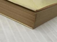 遥かな国 遠い国 (新潮文庫) 新潮社 北 杜夫※イタミ有