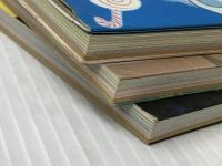 綿の国星―映画 (1984年) (双葉社アニメ文庫)※イタミ有