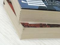 佐々木譲警官の血（上下） 新潮文庫 女神の息吹