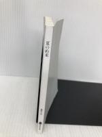 【※カバー無し】夏の約束 (講談社文庫 ふ 52-4) 講談社 藤野 千夜