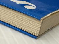 幼稚園真諦 (フレーベル新書 10) フレーベル館 倉橋 惣三※イタミ有