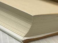 わが愛憎の画家たち (1983年) (平凡社選書〈79〉)