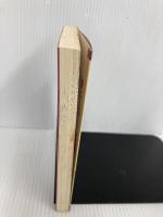 白い別荘の怪事件 (K.ノベルス 2 少年探偵ハヤトとケン 2) 偕成社 安達 征一郎