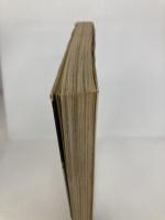 写真でみる軟式テニス入門 新星出版社 林敏弘