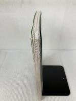 【カバー無し】山火事のサバイバル (1) (科学漫画サバイバルシリーズ75) 朝日新聞出版 ポドアルチング